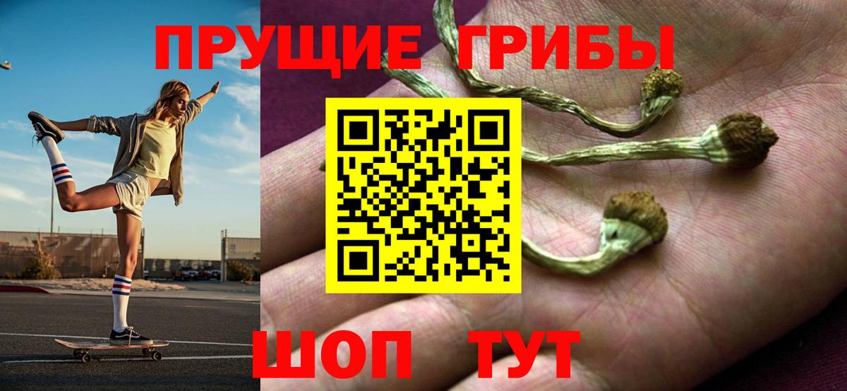 Галлюциногенные грибы MAGIC MUSHROOMS Тара