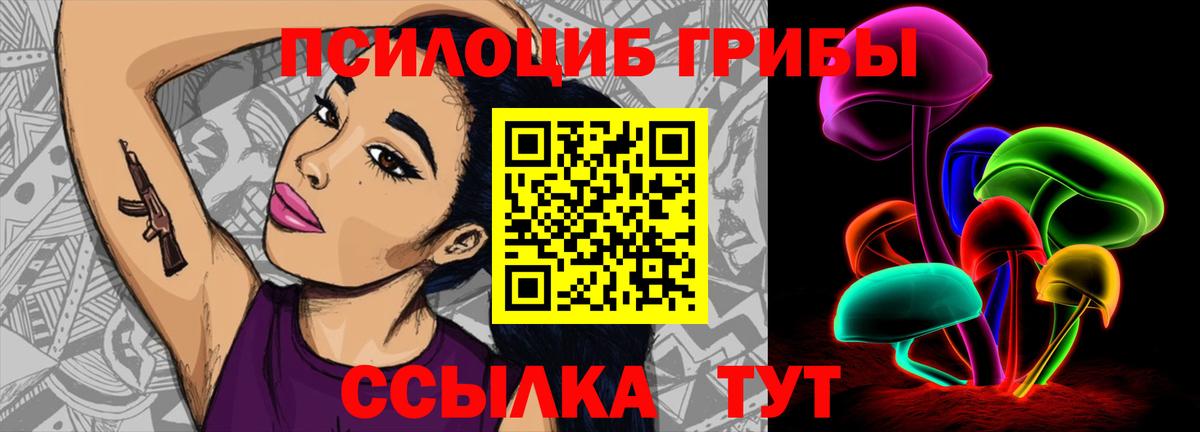 Галлюциногенные грибы прущие грибы  Вход с VPN  Тара 