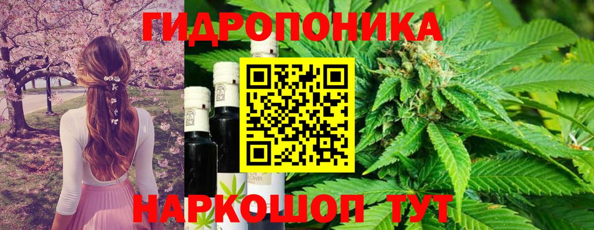 Марихуана марихуана  Каннабис Bruce Banner  Тара  Вход с VPN 